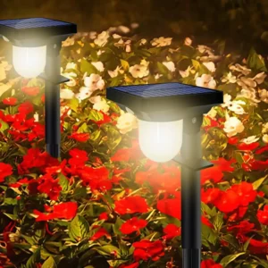 Upgraded Solar Pathway Lights