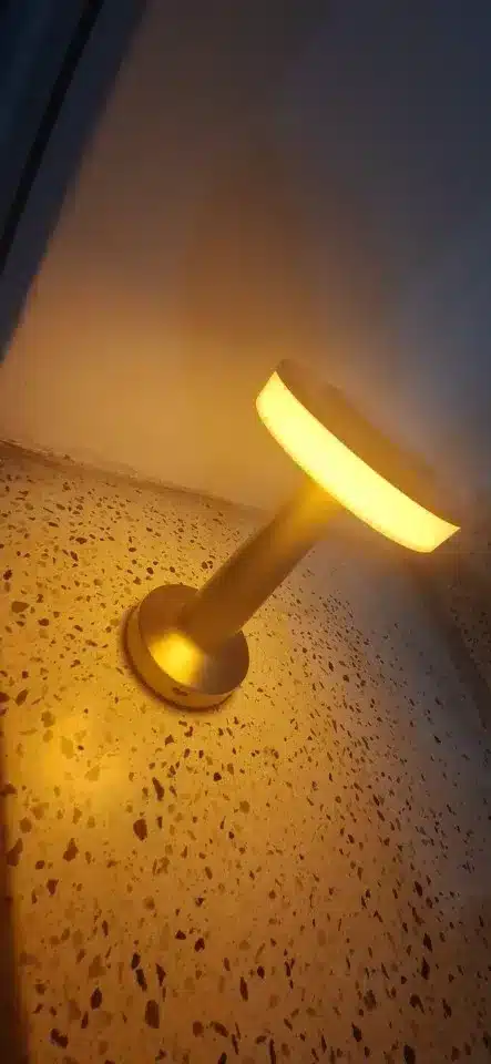 Portable Metal LED Table Lamp photo review