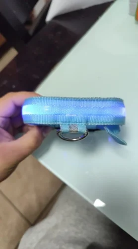 LumiGlow LED Dog Collar photo review