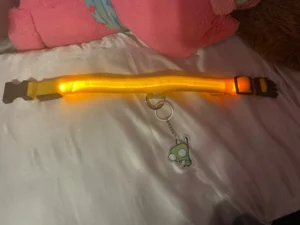 LumiGlow LED Dog Collar photo review