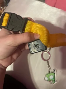 LumiGlow LED Dog Collar photo review