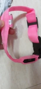 LumiGlow LED Dog Collar photo review
