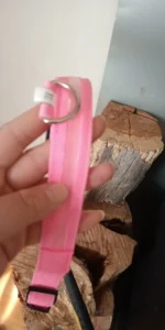 LumiGlow LED Dog Collar photo review