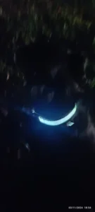 LumiGlow LED Dog Collar photo review