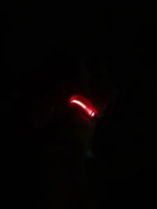LumiGlow LED Dog Collar photo review