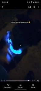 LumiGlow LED Dog Collar photo review