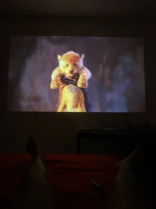 BYINTEK Love U4 Smart Mini Projector photo review